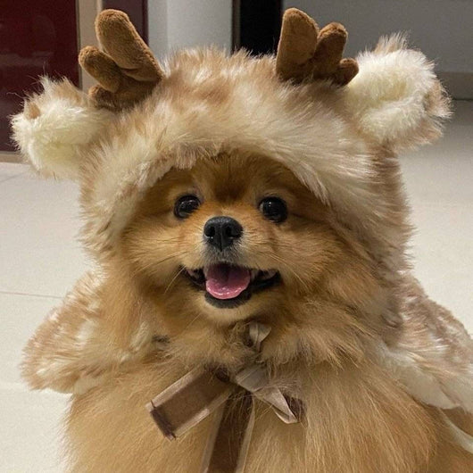 Sweety Reindeer Dope Cape