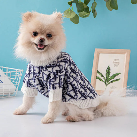 DD  Monogram Dog Lit Sweater