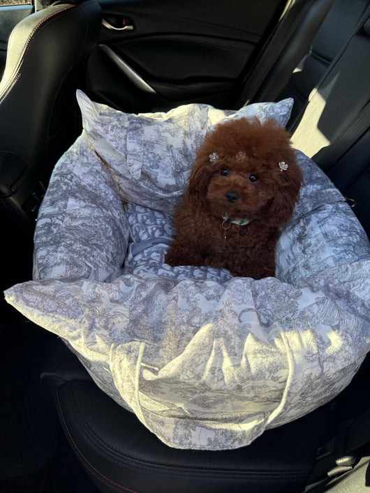 DD  Dog Car Rawcut Seat