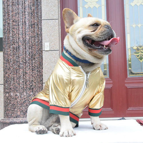 Classic Designer Doggo Posh Jacket