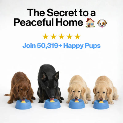 CozyDogo™ Pro Enrichment Bowl