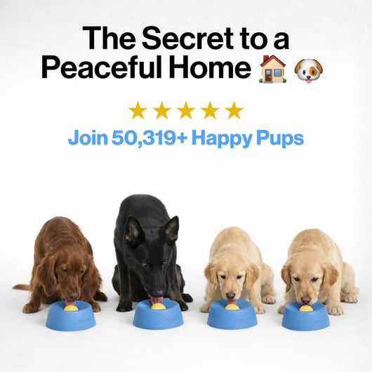 CozyDogo™ Pro Enrichment Bowl