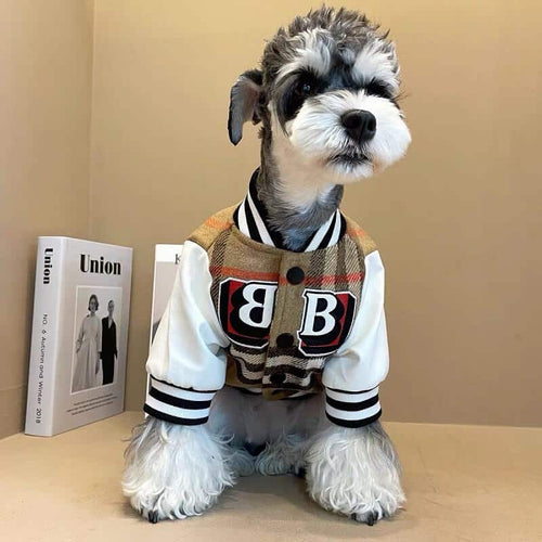 Designer Dog Baseball Jersey