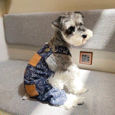 Luxurious Legged Dog Tactile Coat