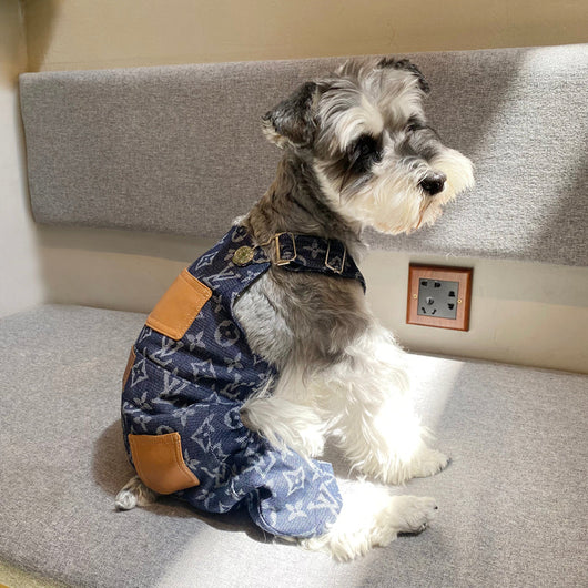 Luxurious Legged Dog Tactile Coat