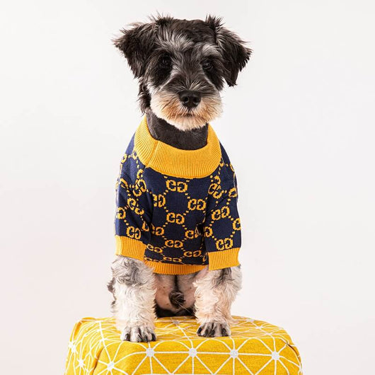 Designer Dog Banger Clothes