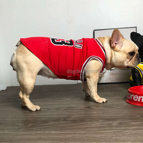 Red Dog Basketball Sleek Jersey