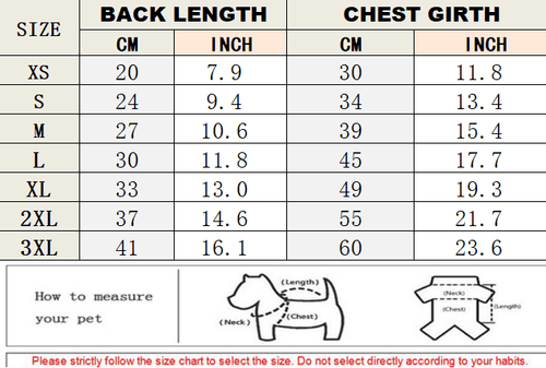Dog Bold Chic Clothes