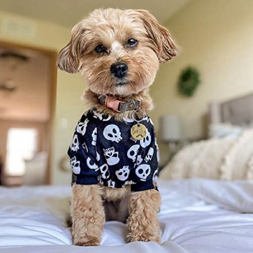 Dog Fancy Costumes