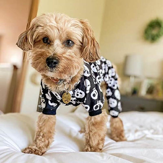 Dog Fancy Costumes