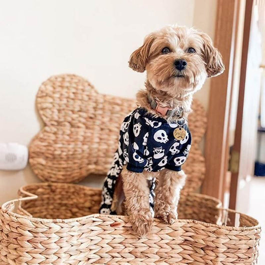 Dog Fancy Costumes