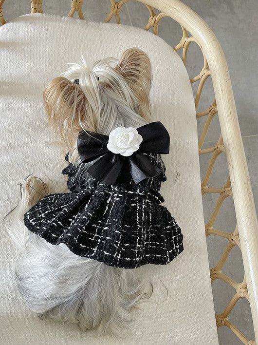 Dog Dress With Leash OG Ring