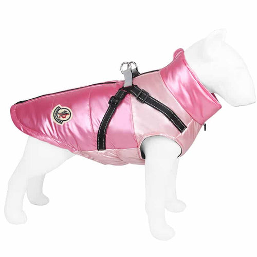 Dog S Onyx Jacket