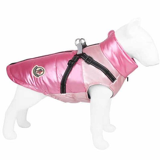 Dog S Onyx Jacket
