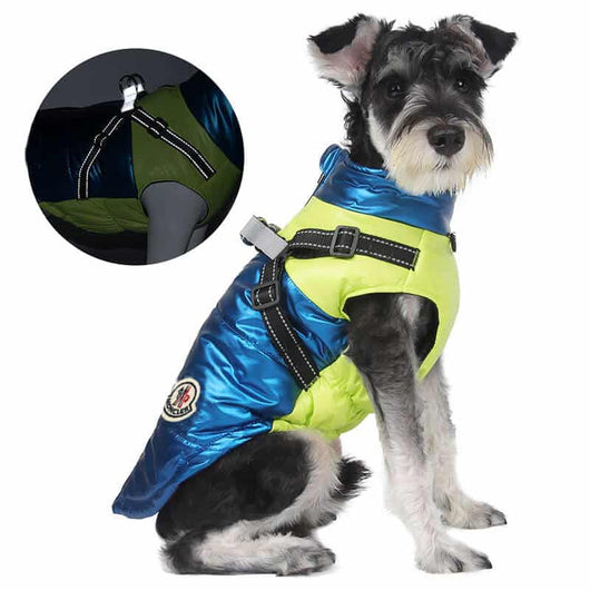 Dog S Onyx Jacket