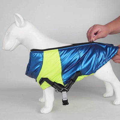Dog S Onyx Jacket