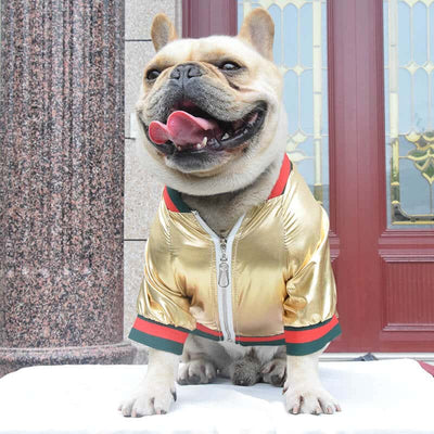 Glossy Dog Warped Jacket