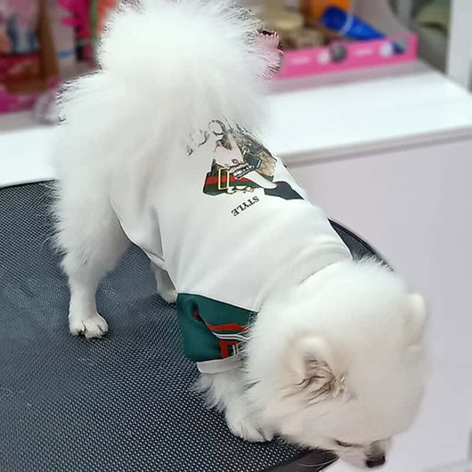 Dog Baseball Icy Coat