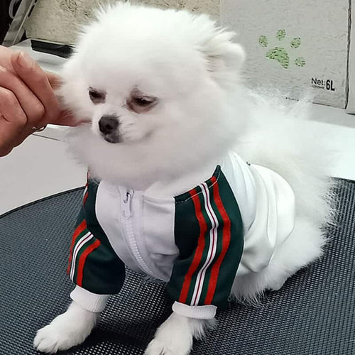Dog Baseball Icy Coat
