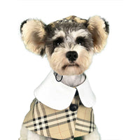 Dog Shawl Coat And Posh Hat