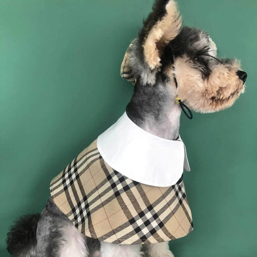 Dog Shawl Coat And Posh Hat