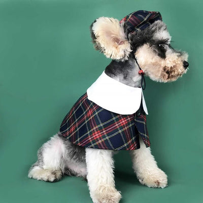Dog Shawl Coat And Posh Hat