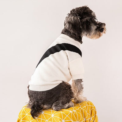 Dog Sweaters For Small Backspin Dogs