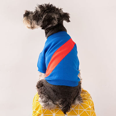 Dog Sweaters For Small Backspin Dogs