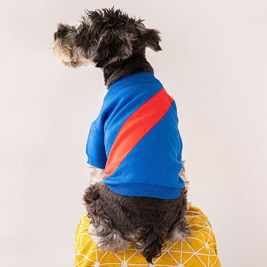Dog Sweaters For Small Backspin Dogs