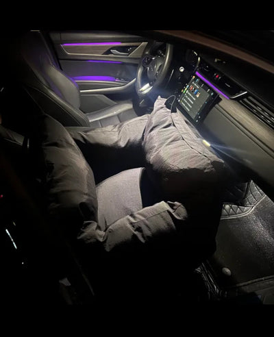 Panda Car Fire Bed