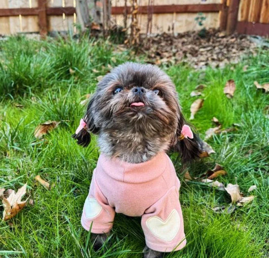 Hearty Washed Sweater