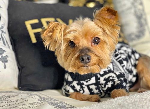 DD Black Alphabet Bubbly Sweater