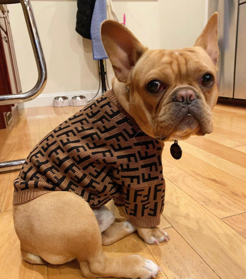 FF Fabulous Fashion Doggo Prime Sweater