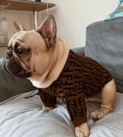 FF Fabulous Fashion Doggo Prime Sweater