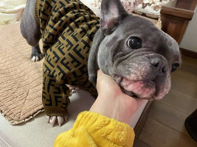 FF Fabulous Fashion Doggo Prime Sweater