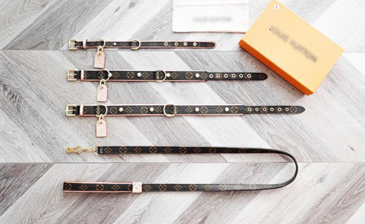 Amelia Dog Collar & Backspin Leash