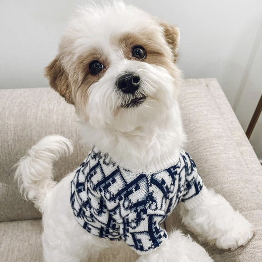 DD Navy & White Supreme Sweater