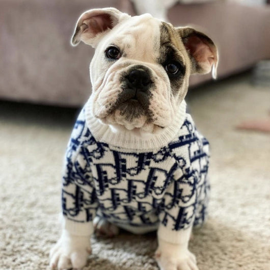 DD Navy & White Supreme Sweater