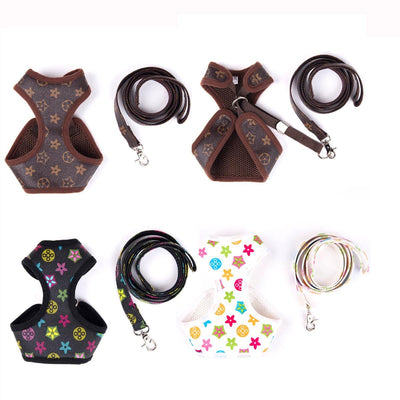 Amarillis Harness And Throwie Leash
