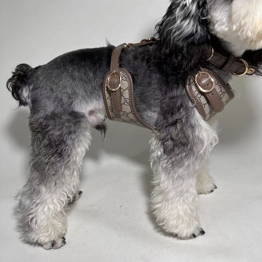 Luxury Leather Poochi Harness, Collar & Lead