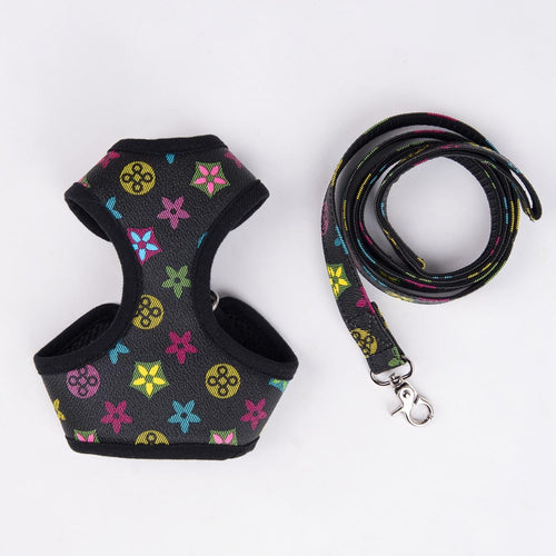 Amarillis Harness And Throwie Leash