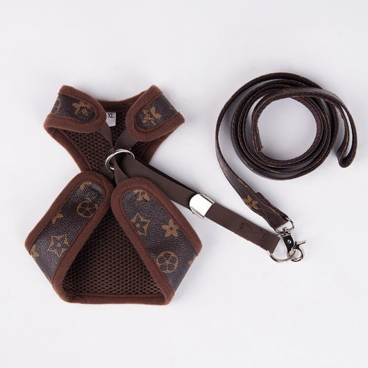 Amarillis Harness And Throwie Leash