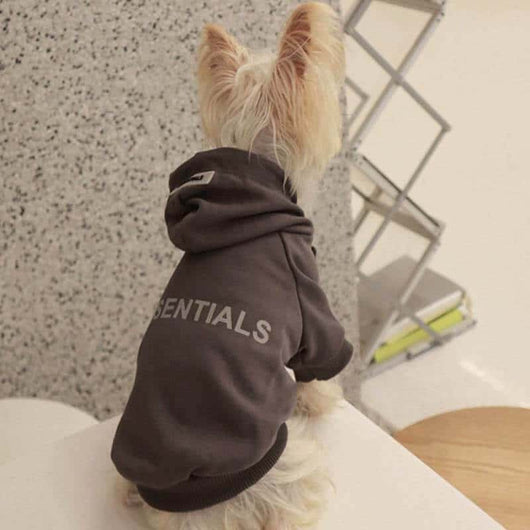Cream Grey Designer Dog  Hoodies