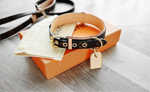 Amelia Dog Collar & Backspin Leash