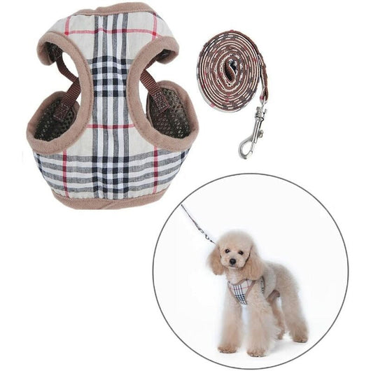 Zuma Harness & Leash Retro Set