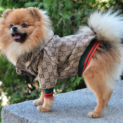 Zoi Dog Juiced Jacket