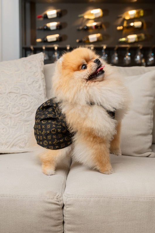 LV Pup Monogram Dreamy Dress