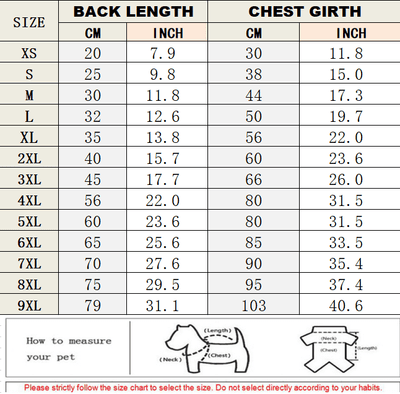 Big Dog Cool Summer Shirts