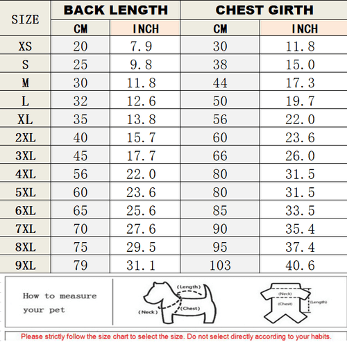 Big Dog Cool Summer Shirts