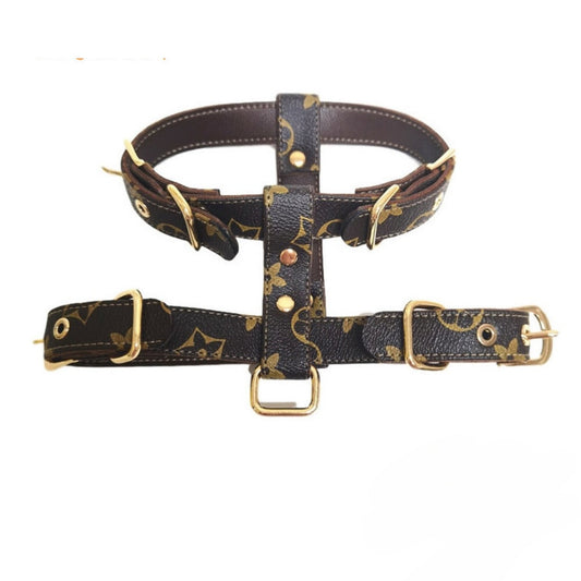 Dina Harness & Leash Backspin Set